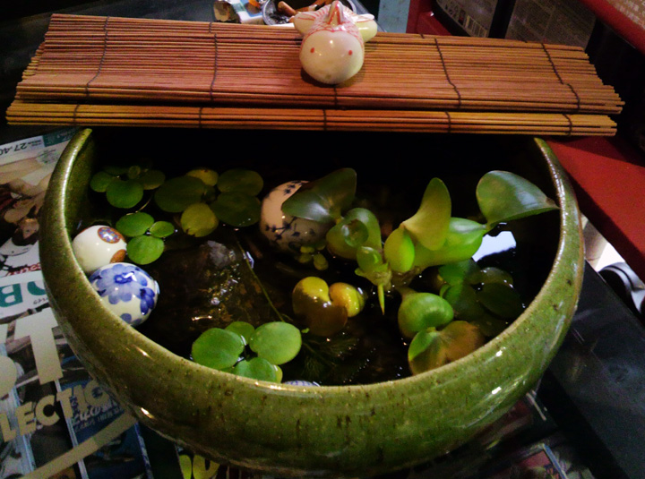 めだか