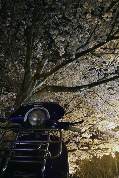 CANON EOS 50D EF24-70mm F2.8L USM
