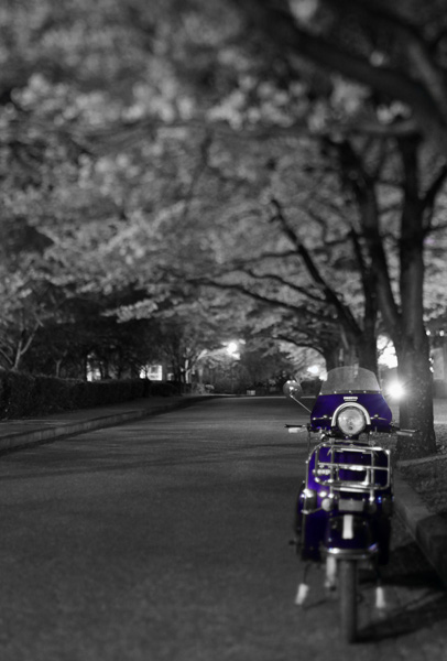 CANON EOS 50D TS-E24mm F3.5L