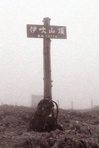伊吹山頂