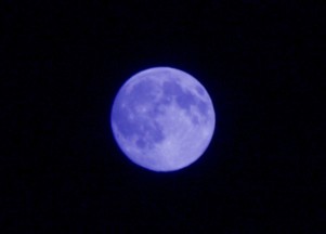 本当は明日が満月だそうです
